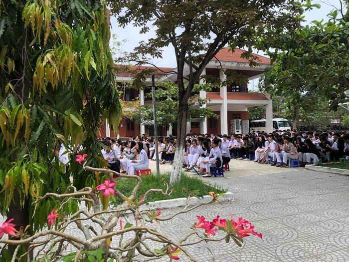 Trường Hermann Gmeiner Đà Nẵng - Hình ảnh 2