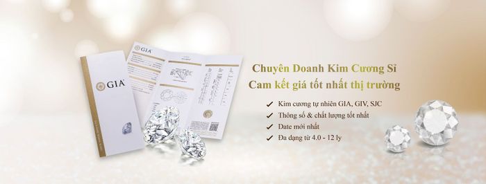 Gems Casa - Ngôi Nhà Đá Quý hình ảnh 1