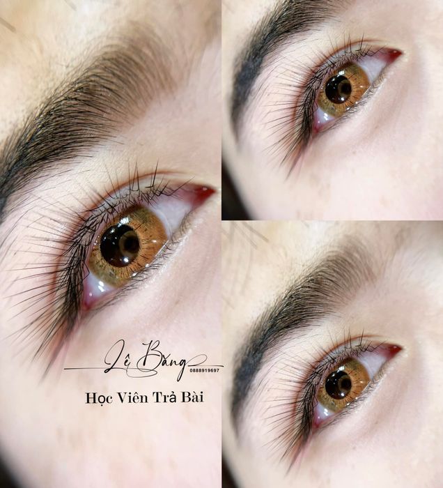 Hình ảnh Lê Băng - 1