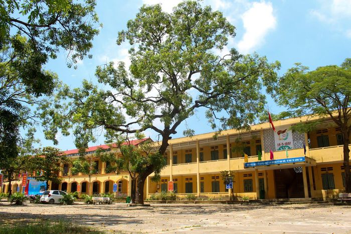 Ảnh 1 của Trường THCS Lê Lợi