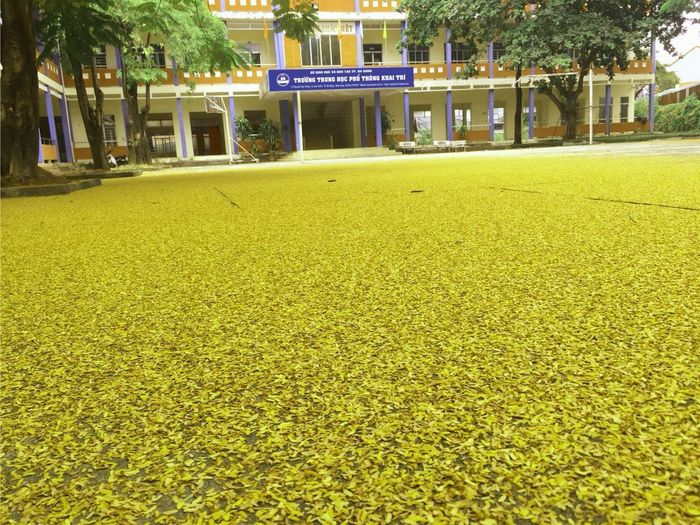 Hình ảnh Trường Trung Học Phổ Thông Khai Trí 1