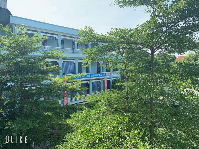 Trường TH, THCS & THPT Đông Bắc Ga - Hình ảnh 2