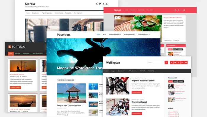 theme là gì?