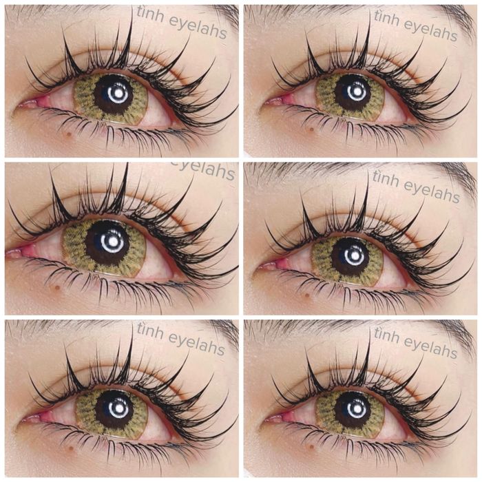 Hình ảnh 1 của Tình Nối Mi