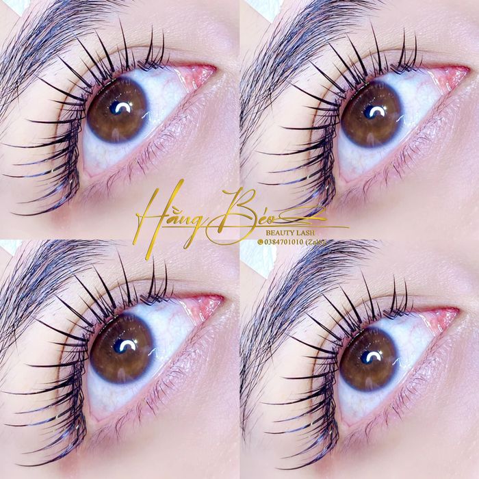 Ảnh 2 của Hằng Béo Beauty Lashes