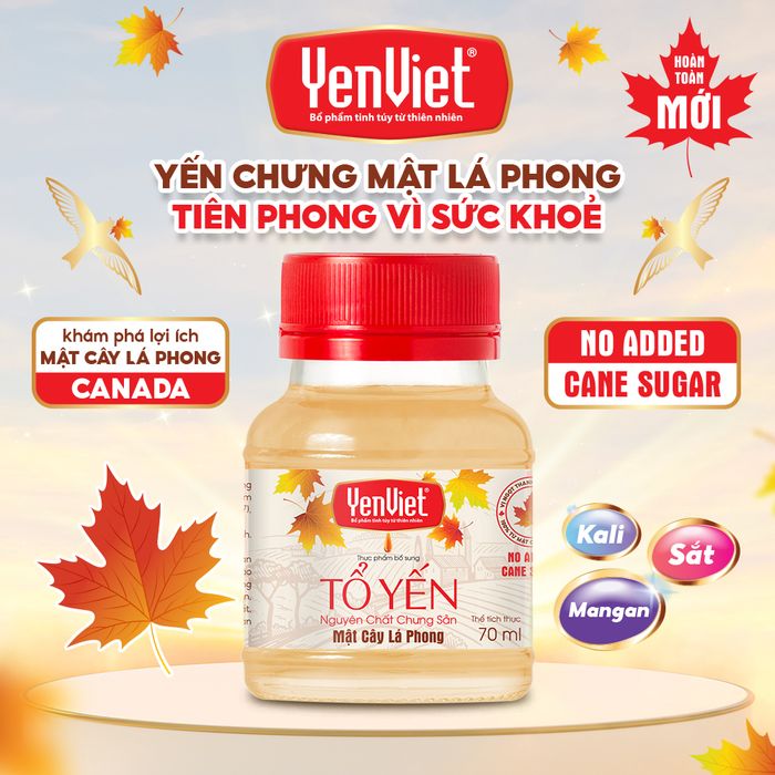 Yến Sào Sài Gòn - Hình ảnh 2