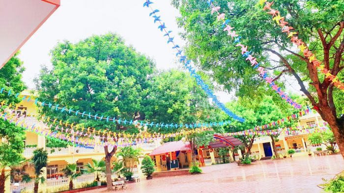 Trường Tiểu Học Lê Lợi tại thành phố Bắc Giang - Hình ảnh 2