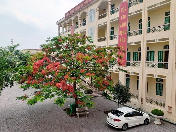 Hình ảnh Trường Trung Học Cơ Sở Nguyễn Huệ 2