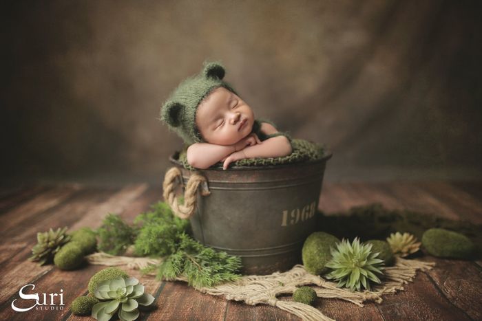 Suristudio - Địa chỉ cho những bức ảnh tuyệt vời