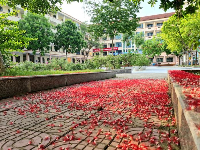 Hình ảnh Trường THPT Chuyên Lào Cai 2