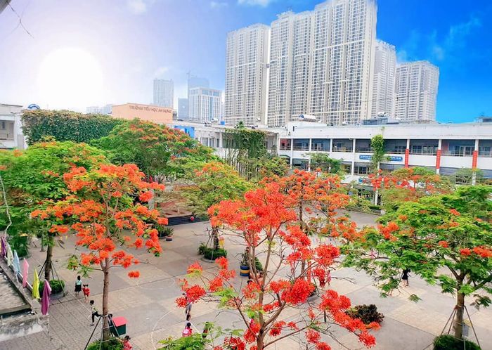 Hình ảnh Trường Tiểu Học An Hưng 1