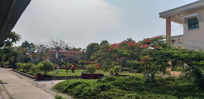 Hình ảnh khác của Trường THPT Lấp Vò 1