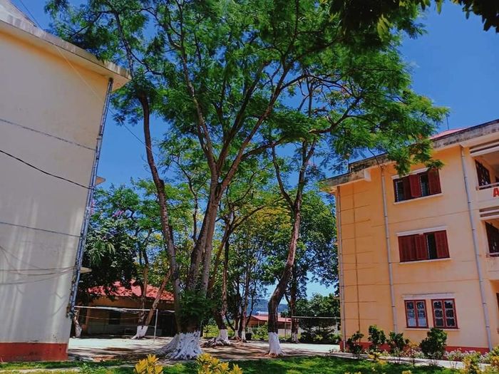 Hình ảnh khác của Trường THPT Dân Tộc Nội Trú Tỉnh Lào Cai