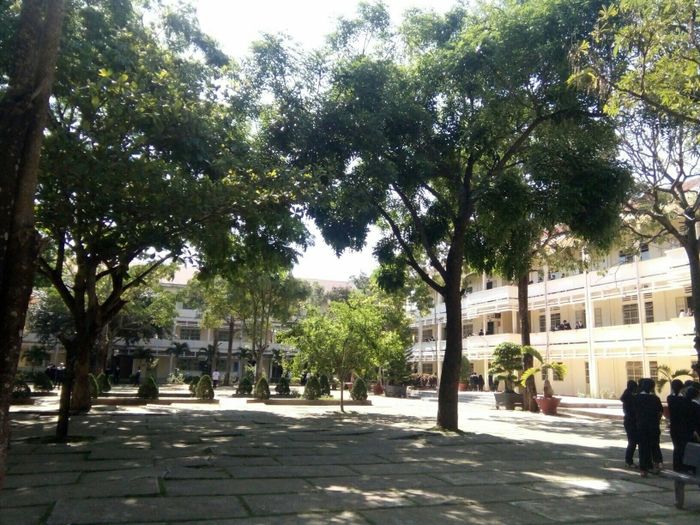 Hình ảnh Trường THPT Lâm Hà 1