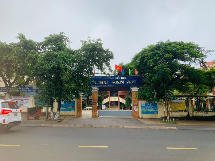 Ảnh 1 về Trường Tiểu học Chu Văn An