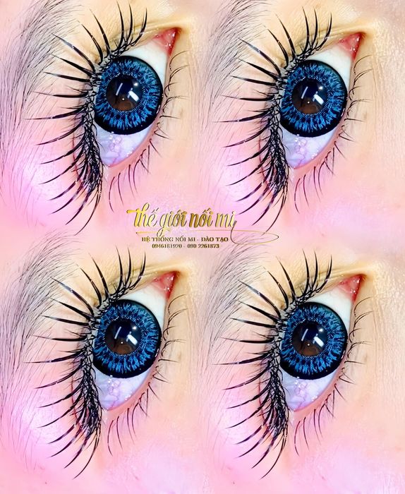 Ảnh Thế giới nối mi 2