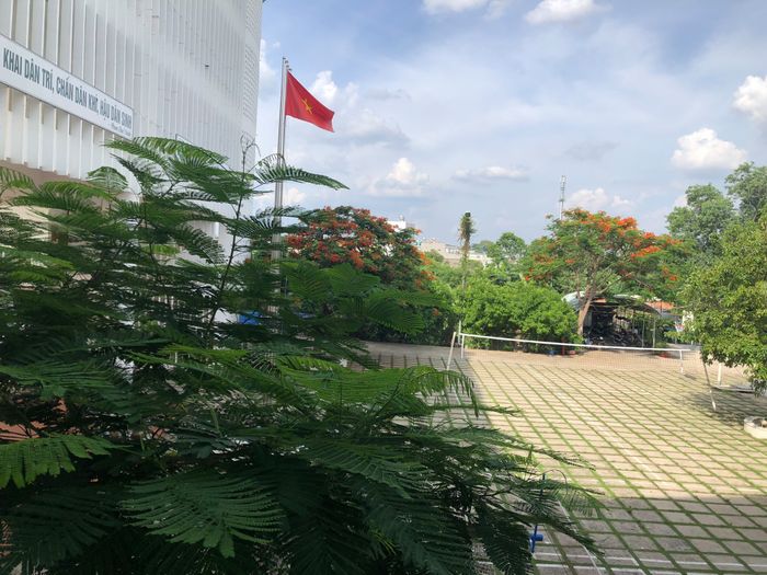 Trường TH - THCS - THPT Phan Chu Trinh - Hình ảnh 1
