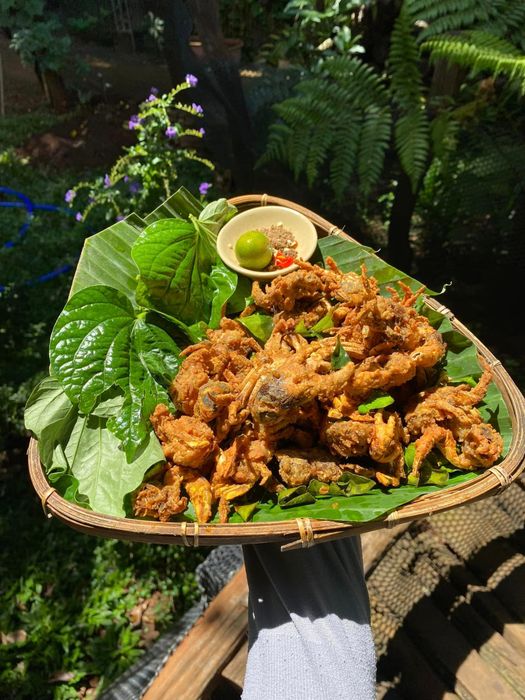 Ảnh 2 của Vườn Ba Tui