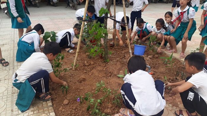 Trường Tiểu học Trường Yên hình ảnh 2