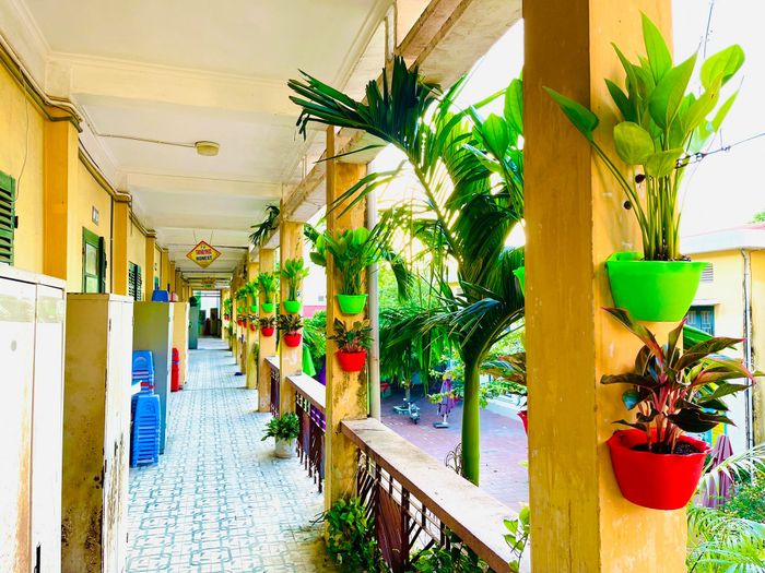 Trường Tiểu học Ngô Sĩ Liên hình ảnh 2