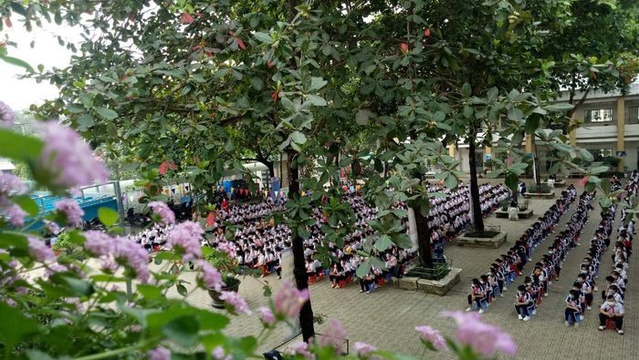 Hình ảnh Trường Tiểu học Trảng Dài 1