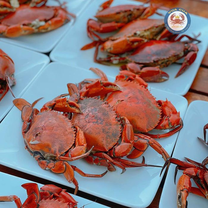 Hình ảnh 2 của Nhà hàng Vua Cua Cửa Lò