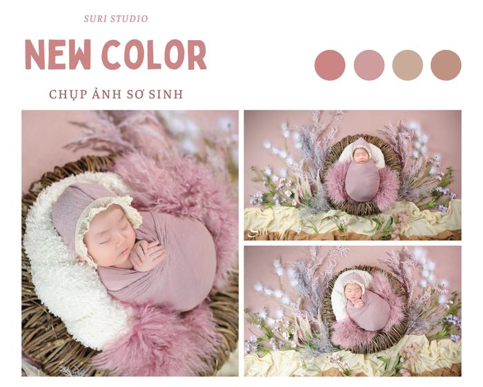 Suristudio - Ảnh viện của những khoảnh khắc đáng nhớ