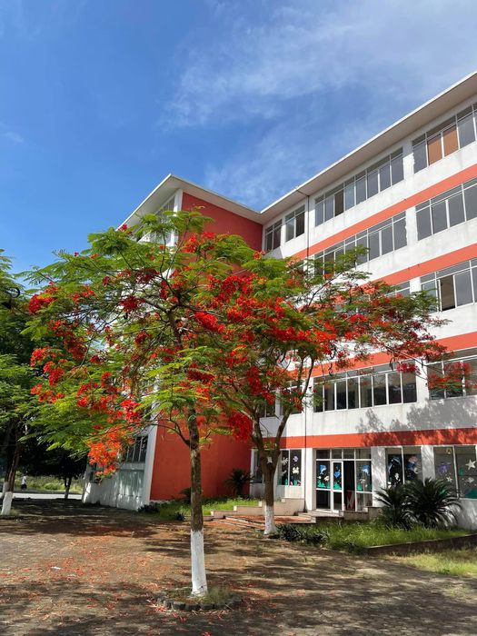 Hình ảnh Kinh Bac International School 2