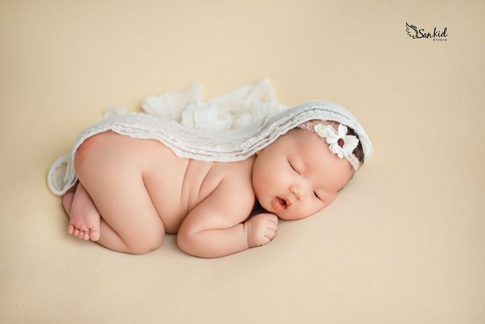 Ảnh 1 tại SanKid Studio