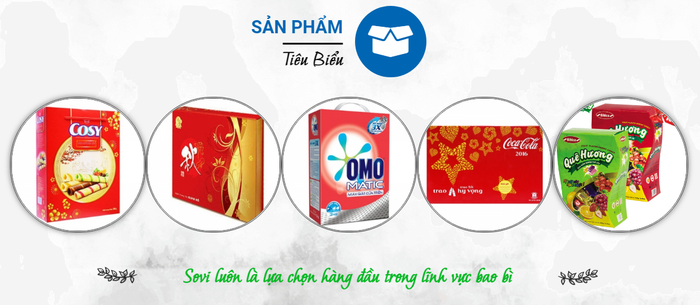 Hình ảnh của Công ty Cổ phần Bao bì Biên Hòa SOVI số 2