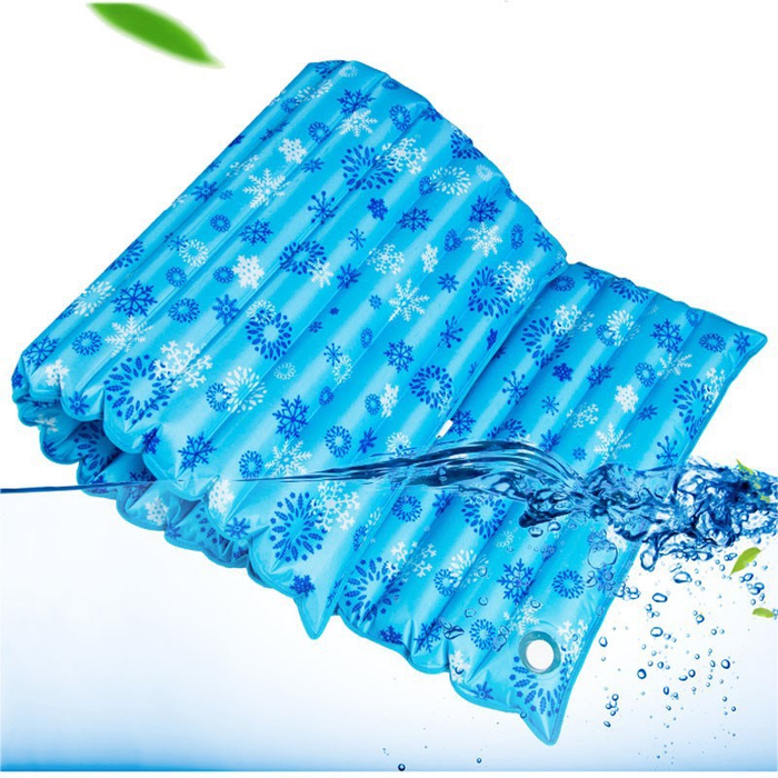 Hình ảnh đệm nước cao cấp Ngọc Thảo 1