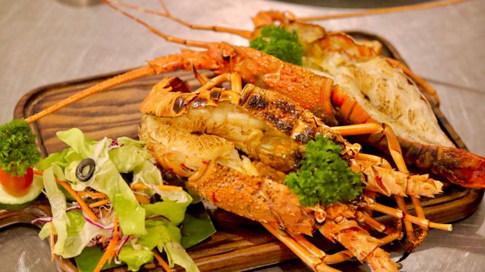 Cá Lửa hình 2