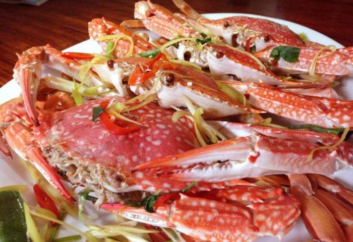 Hải Sản Thời Cổ hình 1