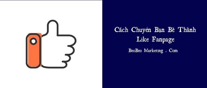 BeoBeo Marketing hình ảnh 2