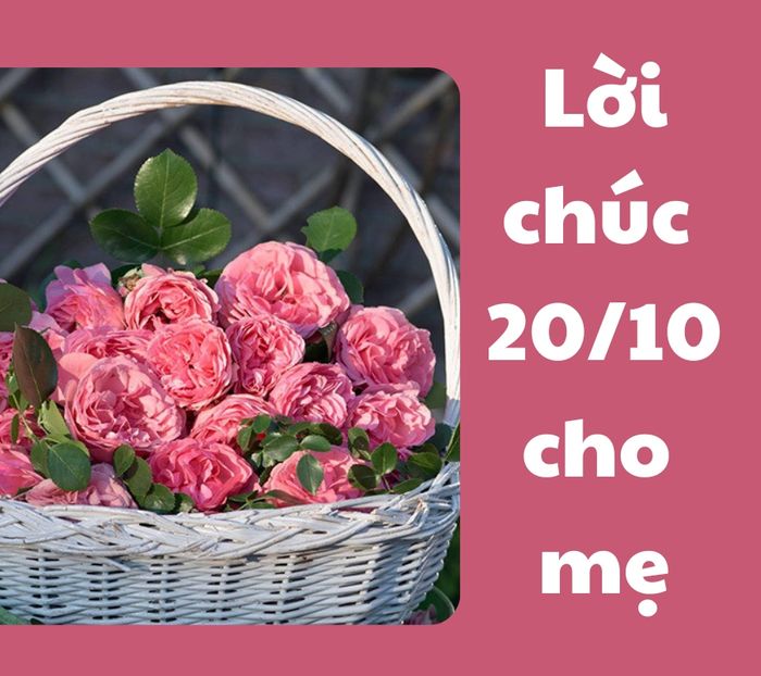 Ảnh minh họa (nguồn Internet) hình 1