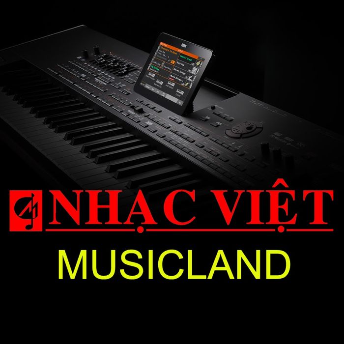 Hình ảnh Công Ty TNHH TM Nhạc Việt 2