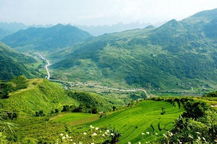 Ảnh minh họa (Nguồn internet) hình 1