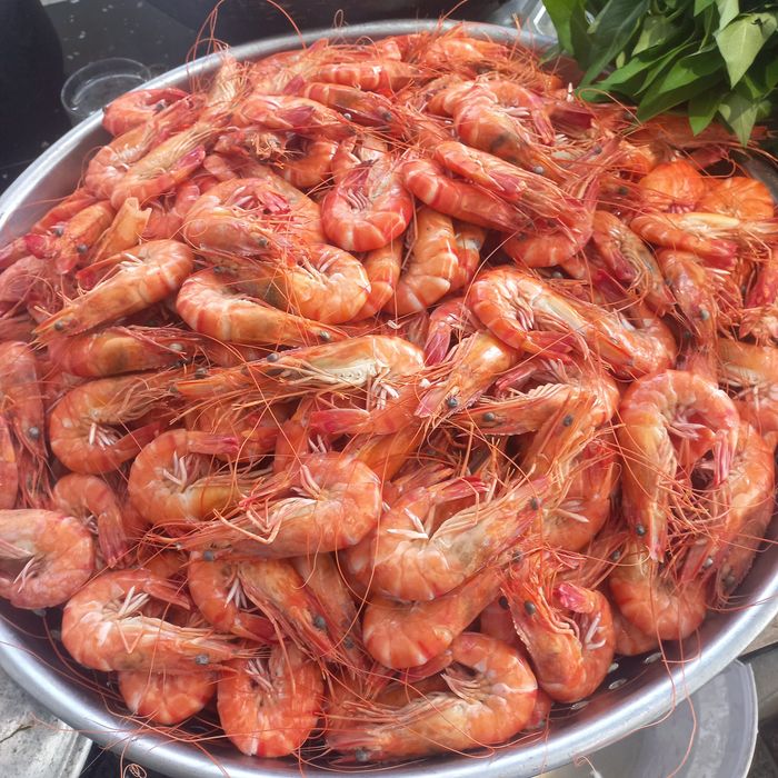 Hình ảnh Nhà Hàng Trọng Dũng 3