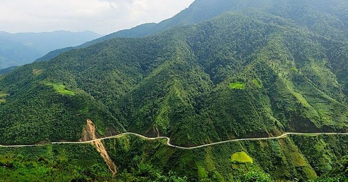 Ảnh minh họa (Nguồn internet) hình 1