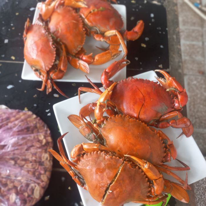 Hình ảnh Nhà Hàng Trọng Dũng 1