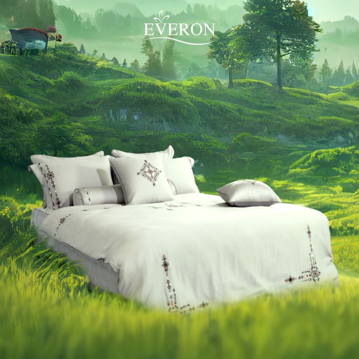 Hình ảnh Everon 2