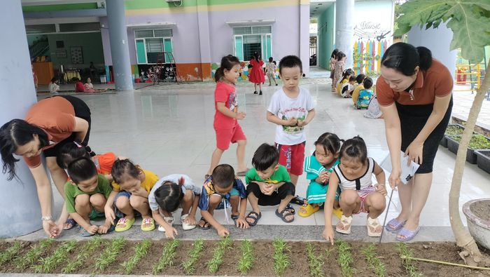 Hình ảnh 3 của Trường Mầm Non Hướng Dương