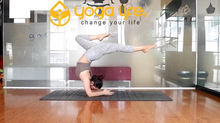 Ảnh 2 của Yoga Life