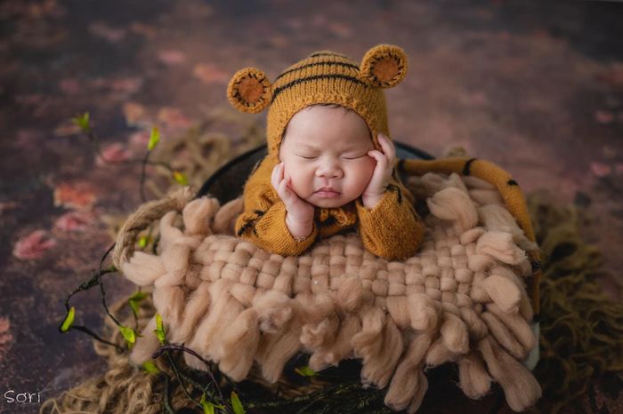 Tiệm Ảnh Nhà Tom - Hình ảnh 2