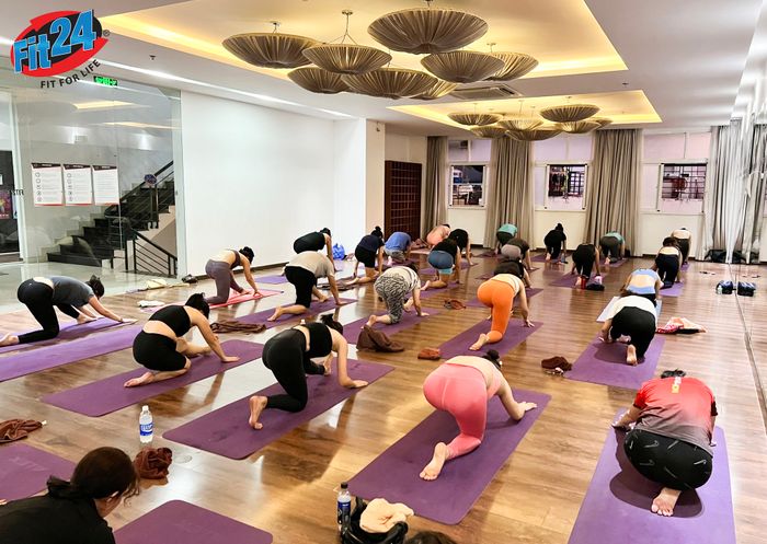 Hình ảnh 2 của FIT24