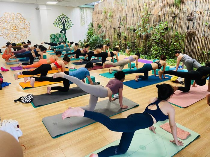 Hình ảnh 1 của Vườn Yên Yoga Studio