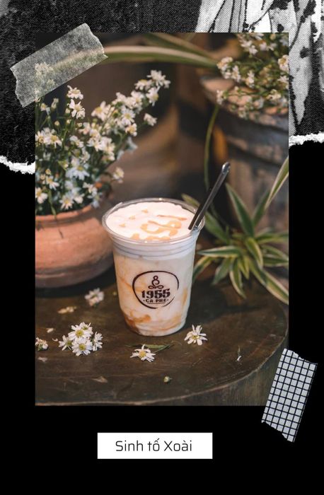 Hình ảnh 1955 Coffee 2