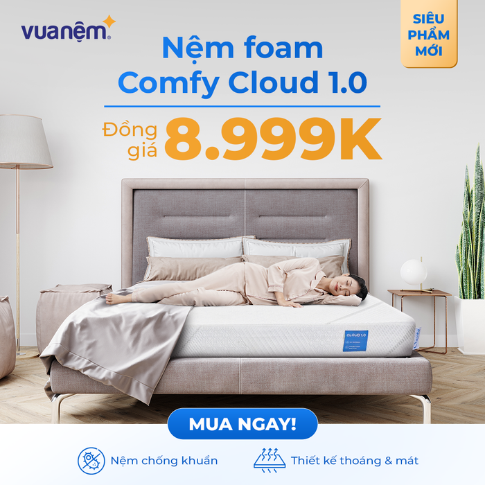 Hình ảnh 2 của Vua Nệm