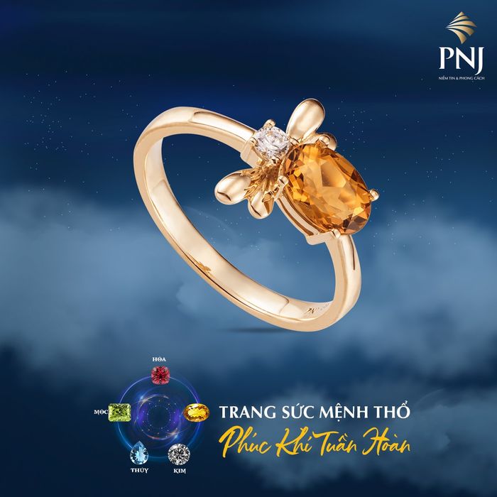 Hình ảnh PNJ 2