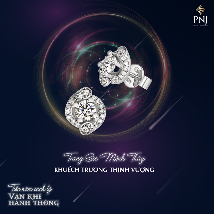 Hình ảnh PNJ 3